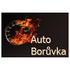 Auto Borůvka