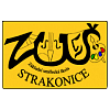 ZUŠ Strakonice