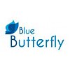 Anglická školka Blue Butterfly