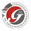 Gymnázium Dr. Emila Holuba, Holice