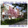 ZŠ Jilemnického 204/11, Dunajská Streda